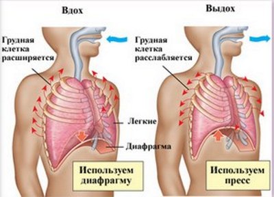 Gymnastique - qu'est-ce que c'est, types (classification), caractéristiques, technique, objectifs