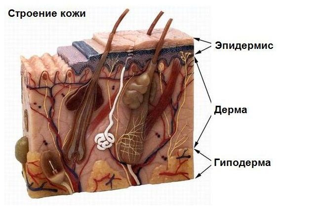 Peeling glycolique - qu'est-ce que c'est, avantages pour le visage, comment le faire à la maison, photos, avis