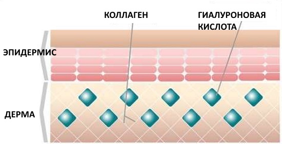 Thérapie plasma - Plasmolifting de la peau du visage et du cou, indications, contre-indications, photos, prix de la procédure, avis