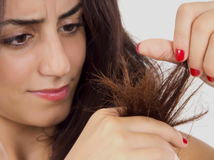 Huile de bardane pour les cheveux - effet, propriétés, traitement. Comment l'huile affecte-t-elle les cheveux - avantages ou inconvénients. Commentaires