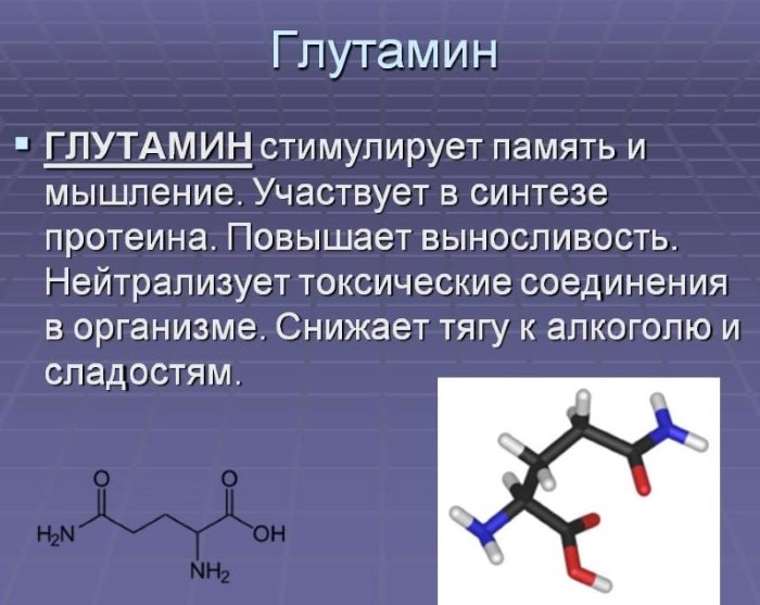 Acide glutamique - de quoi s'agit-il, la composition, à quoi sert-il dans le sport, la musculation. Médicaments et aliments acides et comment les prendre