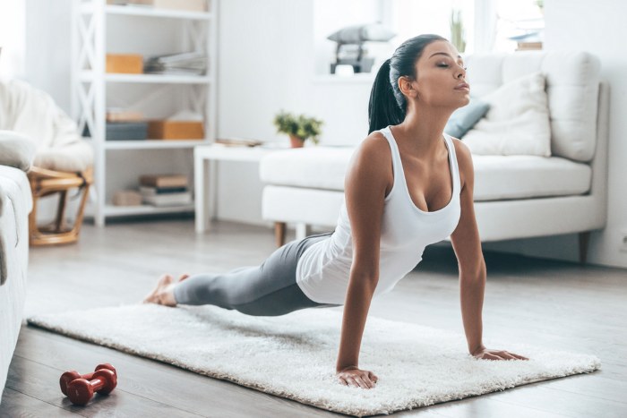 Comment gonfler rapidement les abdominaux pour une fille à la maison. Règles, exercices, programme de formation