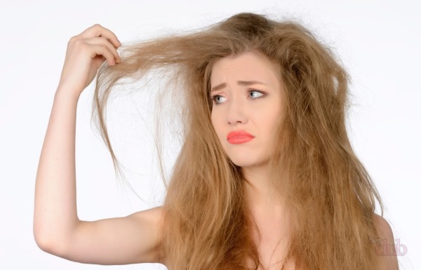 Masques hydratants pour cheveux secs. Recettes pour les pointes sèches et cassantes