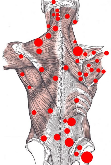 Massage myofascial - qu'est-ce que c'est, apprendre à masser le visage, le corps, le dos. Cours photo, vidéo par Shubina