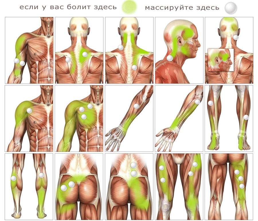 Massage myofascial - qu'est-ce que c'est, apprendre à masser le visage, le corps, le dos. Cours photo, vidéo par Shubina