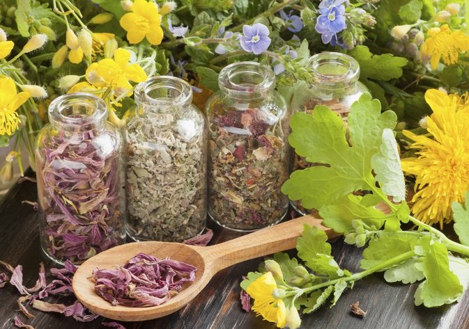 Masques pour pointes fourchues. Recettes pour soigner les boucles sèches, cassantes et grasses