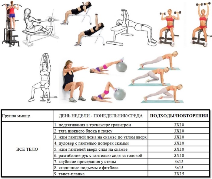 Exercices sur les épaules dans le gymnase pour filles. Règles d'entraînement