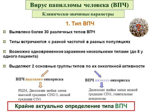 Le VPH chez la femme - qu'est-ce que c'est, symptômes, types, comment se transmet-il, traitement du papillomavirus humain en gynécologie