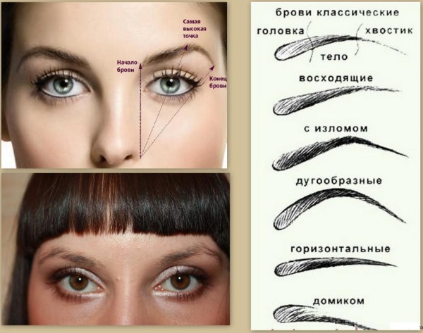 Comment bien peindre les sourcils avec un crayon. Instruction avec photo et vidéo