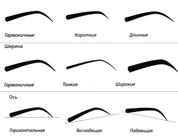 Comment bien peindre les sourcils avec un crayon. Instruction avec photo et vidéo