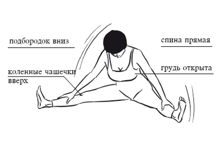 Exercices d'étirement à domicile pour les muscles des jambes pour les fractures, la musculation, le fitness