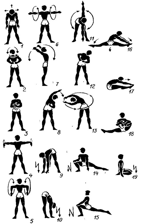 Exercices de base pour les femmes pour les muscles pectoraux avec haltères, haltères, kettlebell, expanseur, pour le poids corporel