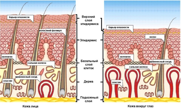 Peeling Ferul - qu'est-ce que c'est, comment est-il fait, les acides, le protocole de la procédure Medderma, les critiques, les photos et les résultats