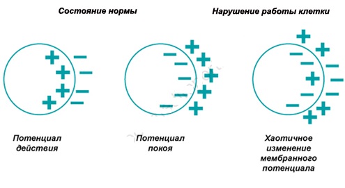 Galvanoplastie en cosmétologie - qu'est-ce que c'est, comment les procédures sont effectuées pour la peau autour des yeux, du visage et du corps, avantages et inconvénients, avantages. Appareil à usage domestique. Une photo