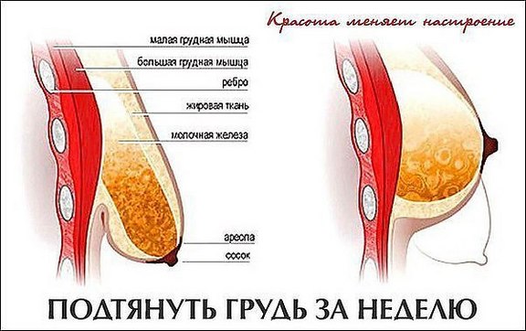 Comment pomper les muscles pectoraux à la maison pour une fille avec des haltères, des pompes, sur la barre horizontale. Programme de formation d'une semaine, un mois