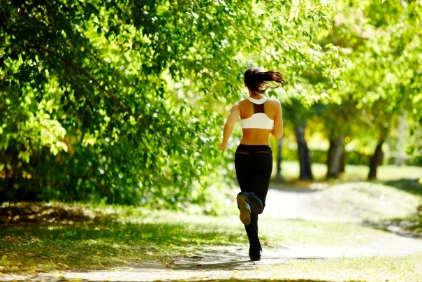 Comment pomper le dos à la maison et au gymnase pour une fille. Exercices avec une barre, des haltères, sur une barre horizontale et sans, avec votre propre poids