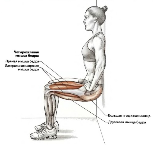 Comment pomper à la maison. Programme de formation pour filles et hommes sur la barre horizontale, à l'aide d'haltères, sans fer ni simulateurs