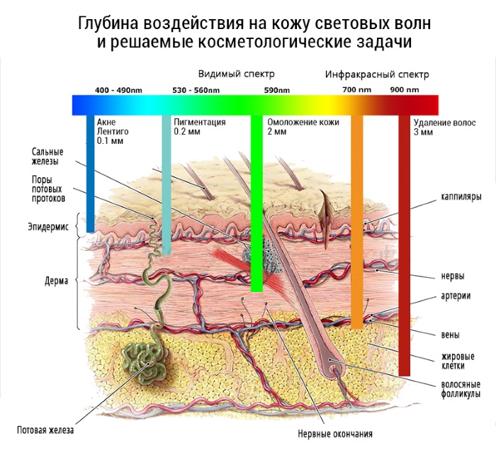 Épilation laser. Quel est le meilleur: laser à diode ou alexandrite pour le visage, le corps, la zone du bikini. Contre-indications et conséquences, résultats, photos