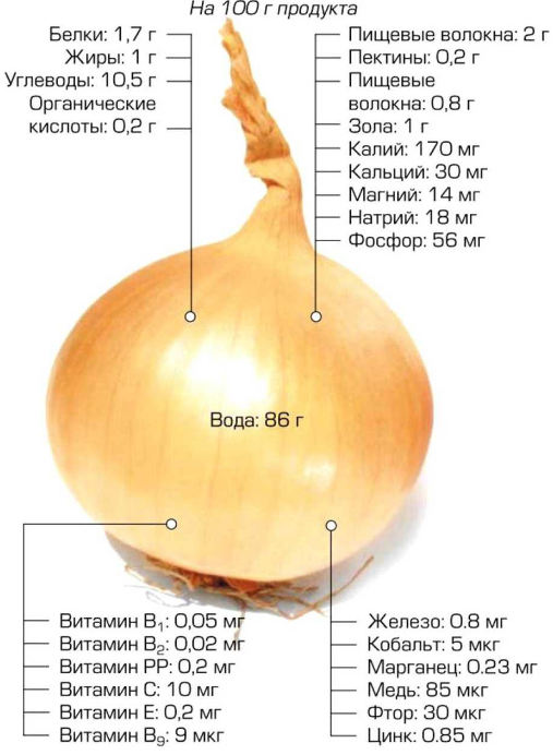 Masque à l'oignon pour la perte de cheveux. À quelle fréquence pouvez-vous préparer des recettes efficaces à la maison. Photos avant et après l'application