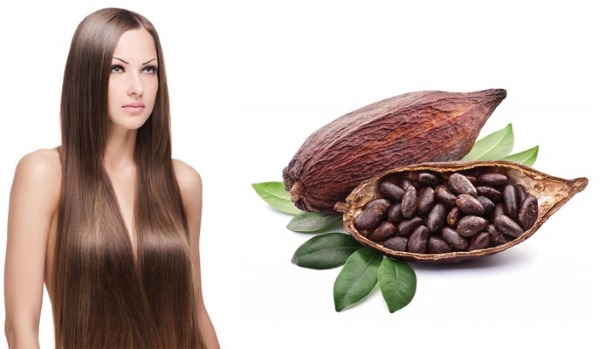 Beurre de cacao - propriétés utiles et applications en cosmétologie. Recettes pour le visage, les mains, le corps, les cheveux à la maison