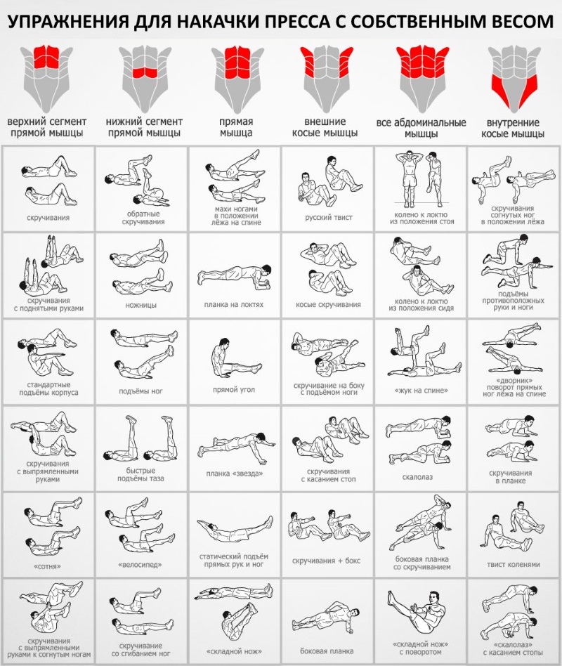 Un programme de pompage de la presse à domicile et en salle de sport pour les filles et les hommes. Table d'exercice d'entraînement