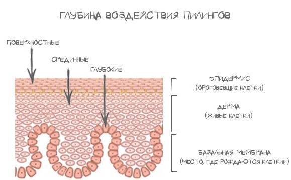 Soins de la peau après le peeling du visage: laser, chimique, fruit, glycolique, matériel, rétinol, Jessner, jaune, TCA, bodyag, acide salicylique