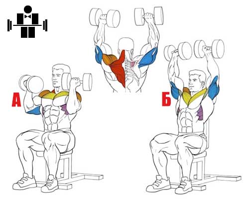 Exercices pour les épaules et les articulations avec ostéochondrose et arthrose. Exercices de physiothérapie pour femmes et hommes selon Bubnovsky