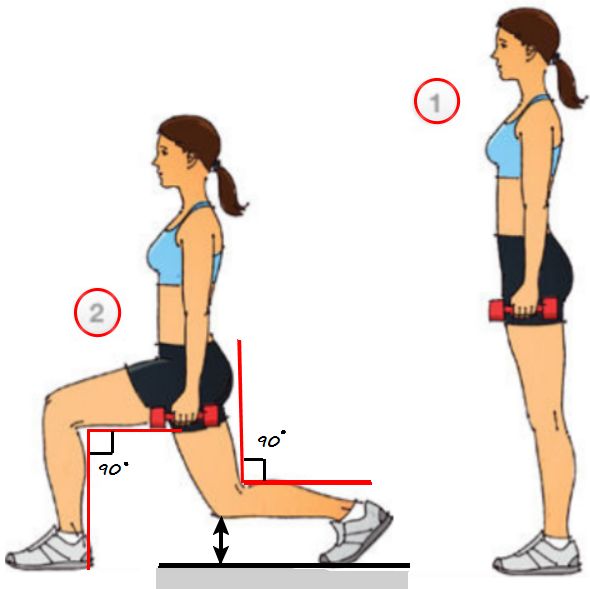 Exercices pour la presse, les jambes, les fesses pour les filles à la maison. Programme de formation, tableau