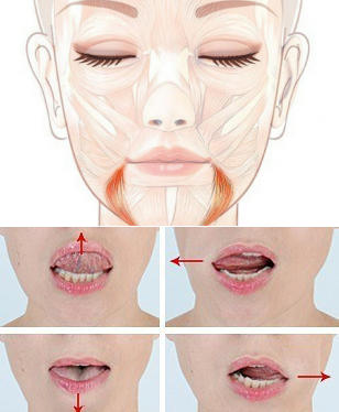 Massage facial buccal seul à la maison. Formation, technique de conduite étape par étape avec une photo