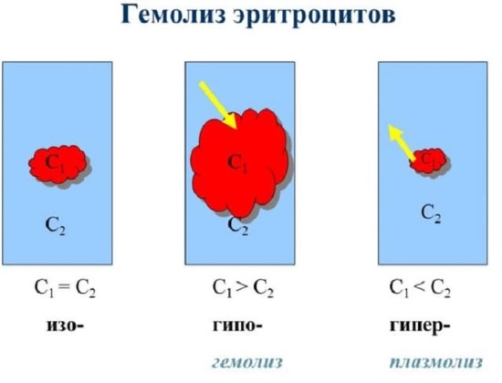 Thérapie à l'ozone intraveineuse. Examens des médecins, indications et contre-indications, avantages et inconvénients, cours du traitement, est-il possible d'effectuer pendant la grossesse