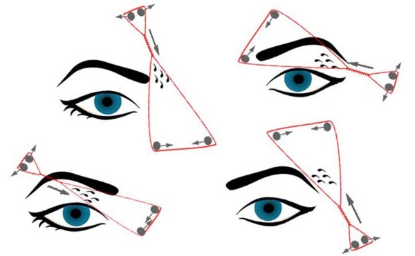 Architecture des sourcils - qu'est-ce que c'est, instructions étape par étape, schémas de correction, coloration, mise en forme à la maison