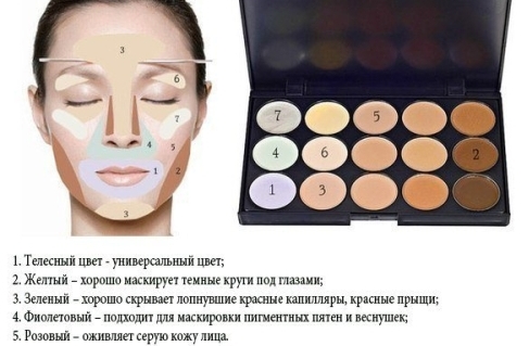 Comment utiliser un correcteur de visage. Instructions étape par étape avec photo, schéma: ton sur ton, liquide, sec, couleur, crayon, palette