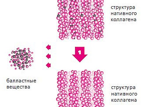 Collost - qu'est-ce que c'est, les critiques des cosmétologues. Instructions d'utilisation du médicament pour les cicatrices, les vergetures, le prix