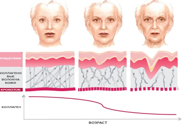 Crème pour le visage, le cou, la peau autour des yeux avec du collagène et de l'acide hyaluronique: Libriderm 3D, Aevit, hydratant et rajeunissant, avis, prix