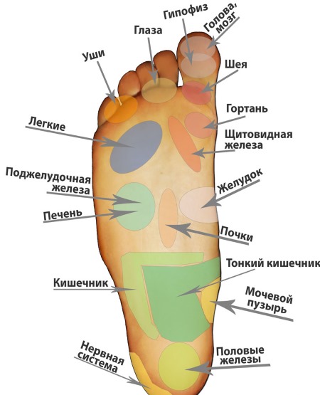 Technique de massage des pieds: règles et leçons vidéo. Apprendre en images avec des explications: thaï, chinois, spot