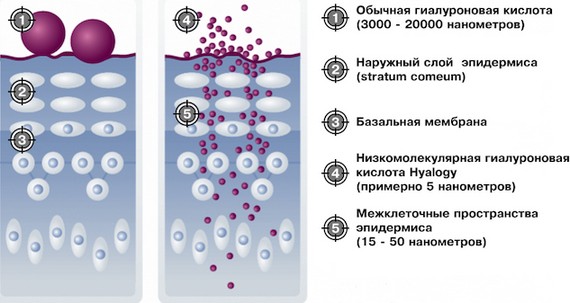 Mesovarton pour la bio-revitalisation du visage. Composition du médicament, fabricant, conséquences, avis des cosmétologues et prix