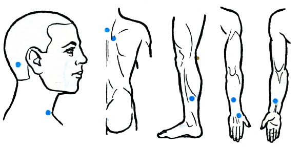 Points actifs biologiques sur le corps humain qui sont responsables d'organes. Technique de massage par acupuncture