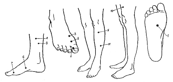 Points actifs biologiques sur le corps humain qui sont responsables d'organes. Technique de massage par acupuncture