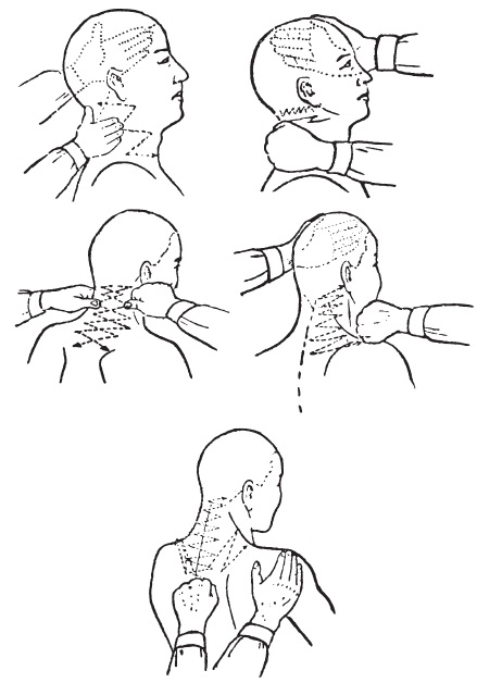 Massage de la tête et du cou pour la croissance des cheveux, améliorant la circulation sanguine. Avantages, contre-indications, meilleures techniques