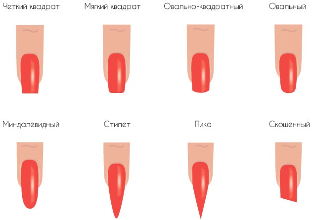 Extension des ongles en gel à la maison. Matériel, didacticiels vidéo étape par étape avec des photos pour les débutants