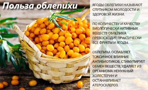 Huile d'argousier pour les cheveux et les cils. Avantages, propriétés médicinales, recettes pour une utilisation en cosmétologie