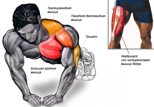 Push-ups du sol: quels muscles se balancent chez les hommes, les femmes. Technique d'exécution, programme pour débutants, types de pompes