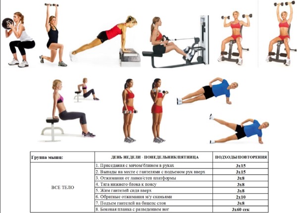 Plan d'entraînement de gym pour les filles. Circuit d'entraînement pour la perte de poids, la combustion des graisses, le pompage musculaire, le cardio