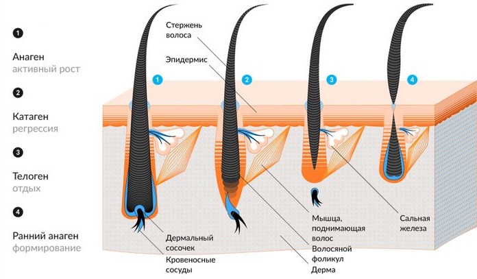 Moyens pour la croissance des cils en pharmacie: huiles, sérums, biogel. Comment renforcer les cils et améliorer leur croissance