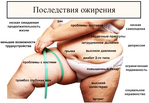 Le taux quotidien de calories et de BJU par jour pour une femme, un homme, un adolescent, une femme enceinte. Taux de perte de poids, renforcement musculaire