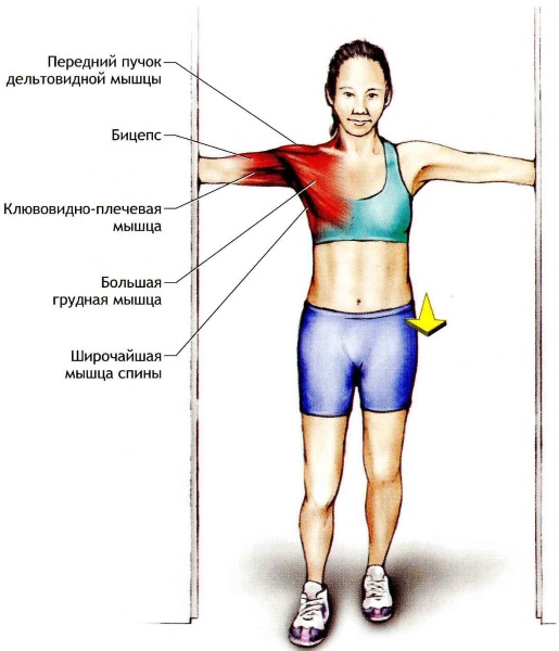 Body sculpt - qu'est-ce que c'est dans le fitness, le programme, les simulateurs à domicile, les cours de perte de poids, les exercices, les résultats