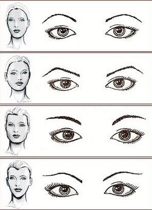 Forme des sourcils par type de visage. Les photos sont droites, arrondies, ascendantes, descendantes, fines, petites. Conseils de maquillage et tutoriels