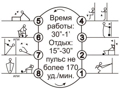 Circuit d'entraînement pour brûler les graisses pour les filles. Une série d'exercices pendant une semaine au gymnase et à la maison