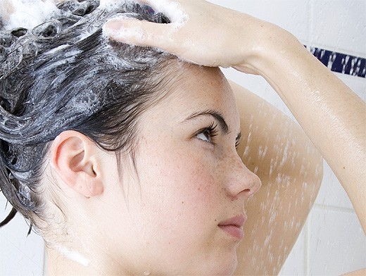 Huile d'arbre à thé pour cheveux contre les pellicules, la chute des cheveux, les poux. Avantages de l'utilisation dans le shampooing