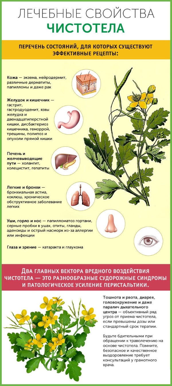 Huile de chélidoine. Propriétés et application pour les maladies cutanées et fongiques, en cosmétologie, gynécologie